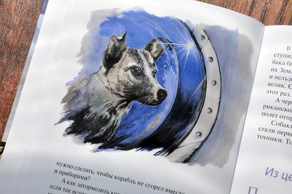 История полетов – вторая книга серии Академкласс