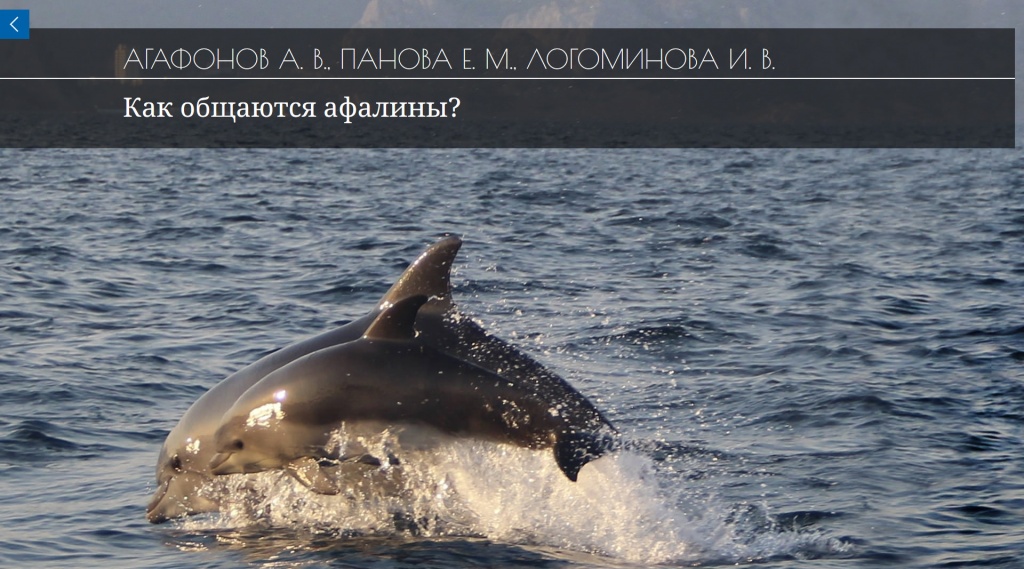 Альманах Океанология Издательства Наука Альманах Океанология Издательства Наука